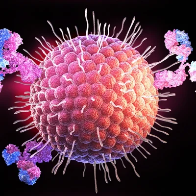 El efecto de la vacunación contra el herpes zóster en la demencia