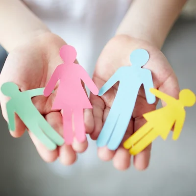 Ley de Servicios Sociales del País Vasco