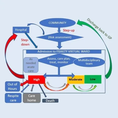 Salas virtuales para personas frágiles: revisión